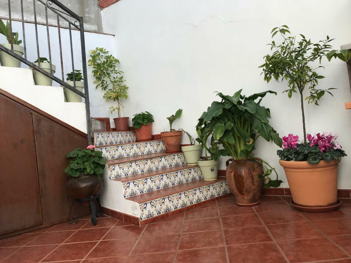 Casa Rural La Herencia Alia Exterior photo